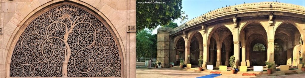 Siddi Sayyedi Mosque | Places to visit in Ahmedabad