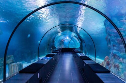 Aquariums in Istanbul